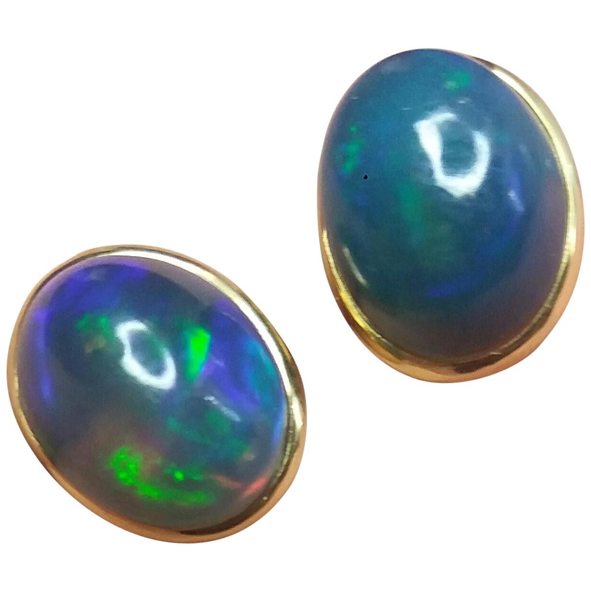 Natural Solid Black Opal Oval Cabs 14 Karat Yellow Gold Stud Earrings For Sale