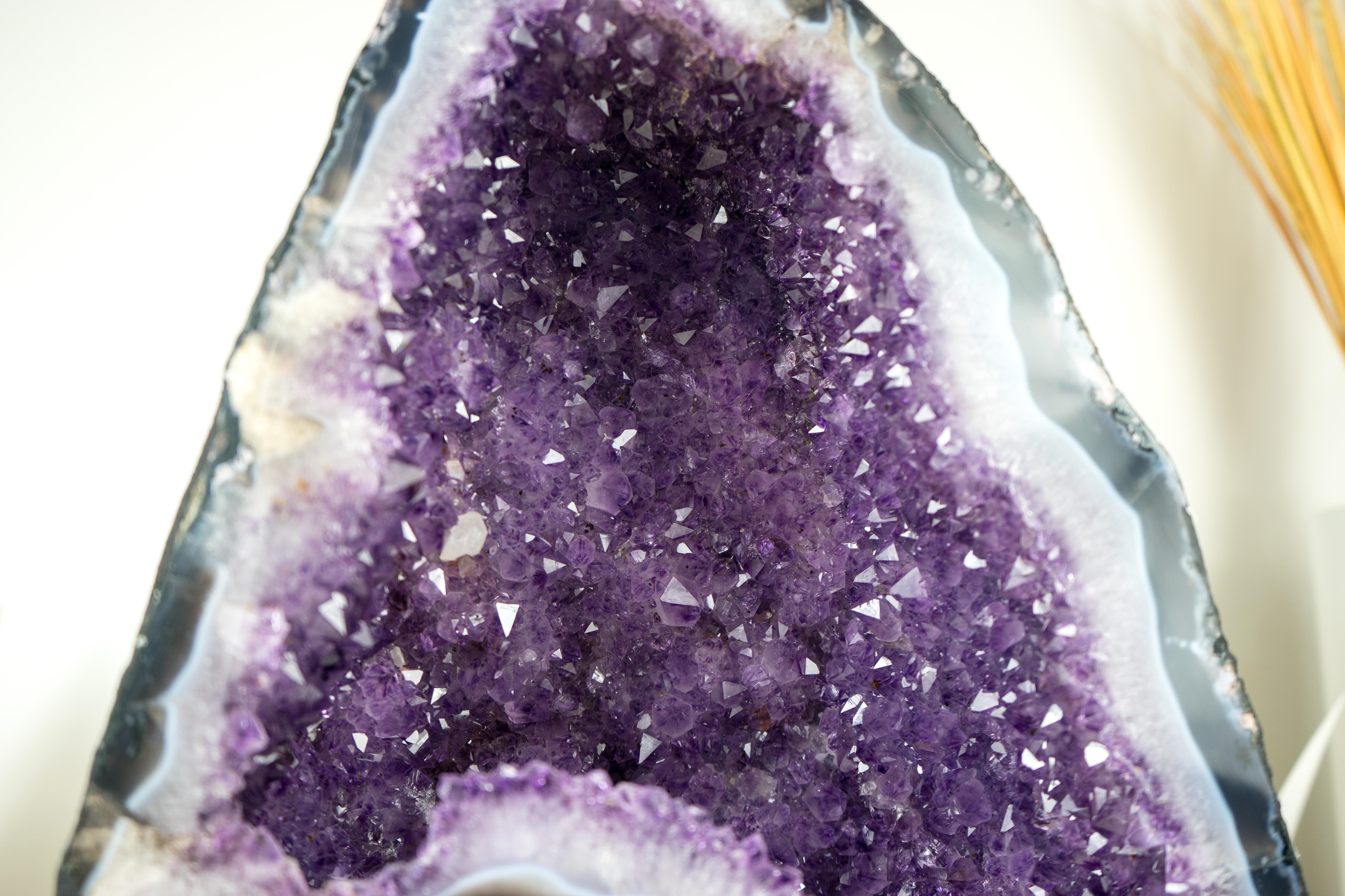 Raro geode di agata a bande blu con druzy di ametista viola intenso

▫️ Descrizione

Un geode di agata con ametista viola intenso che vale una collezione o una galleria, questo geode presenta una splendida agata a bande bianche e blu e un'ametista