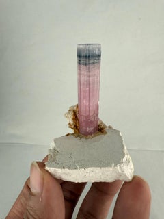 Esemplare naturale di cristallo di tormalina blu CAP bicolore su albite dall'Afghanistan