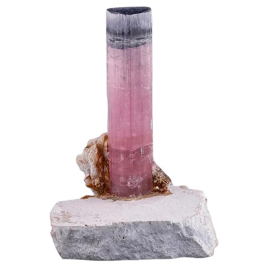 Esemplare naturale di cristallo di tormalina blu CAP bicolore su albite dall'Afghanistan