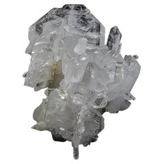 Especímenes naturales