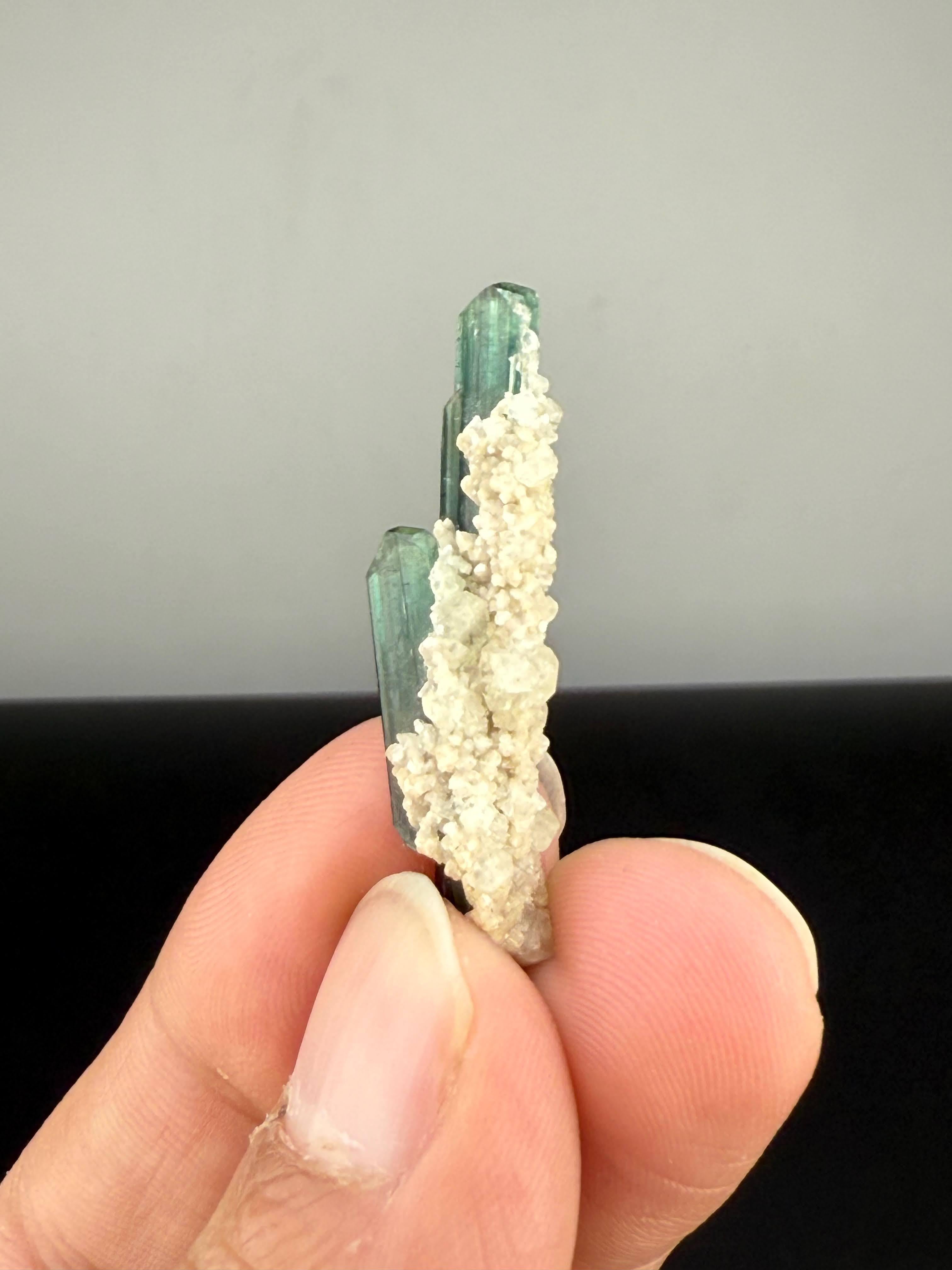 Natural Specimen Indicolite Tourmaline Crystals With Albite From Afghanistan For Sale 3