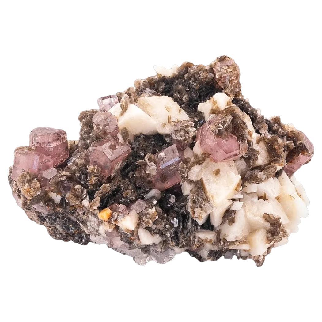 Natürliches Exemplar von Apatitkristallen auf Muskovit aus Pakistan