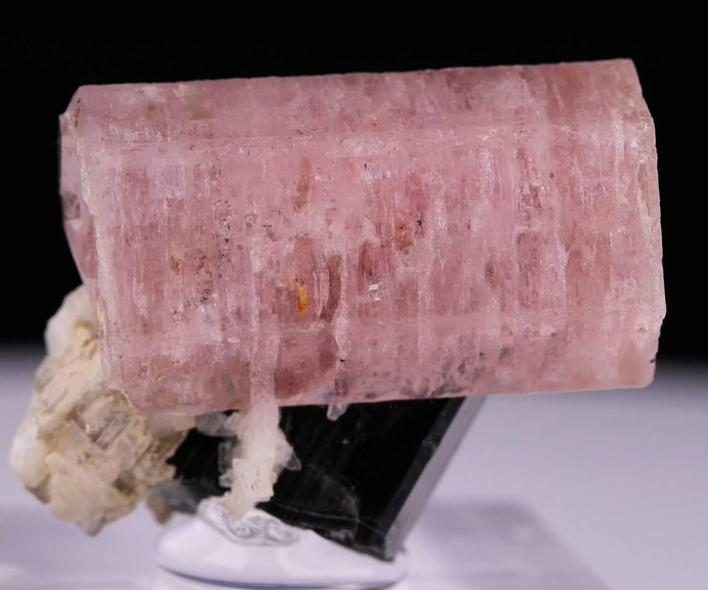 Natural Specimen Of Apatite On Schorl Crystal From Pakistan in vendita 3