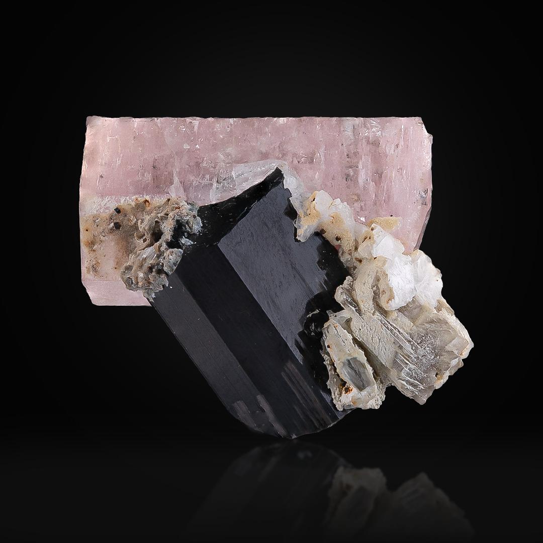 Specimen Type: Apatite on Schorl 
Weight: 17 grams
Dimension: H: 3 x W: 3 x 1.5 cm 
Origin: Shigar Valley, Skardu District, Gilgit Baltistan Province, Pakistan
Treatment: None




This natural specimen showcases vibrant apatite crystals beautifully