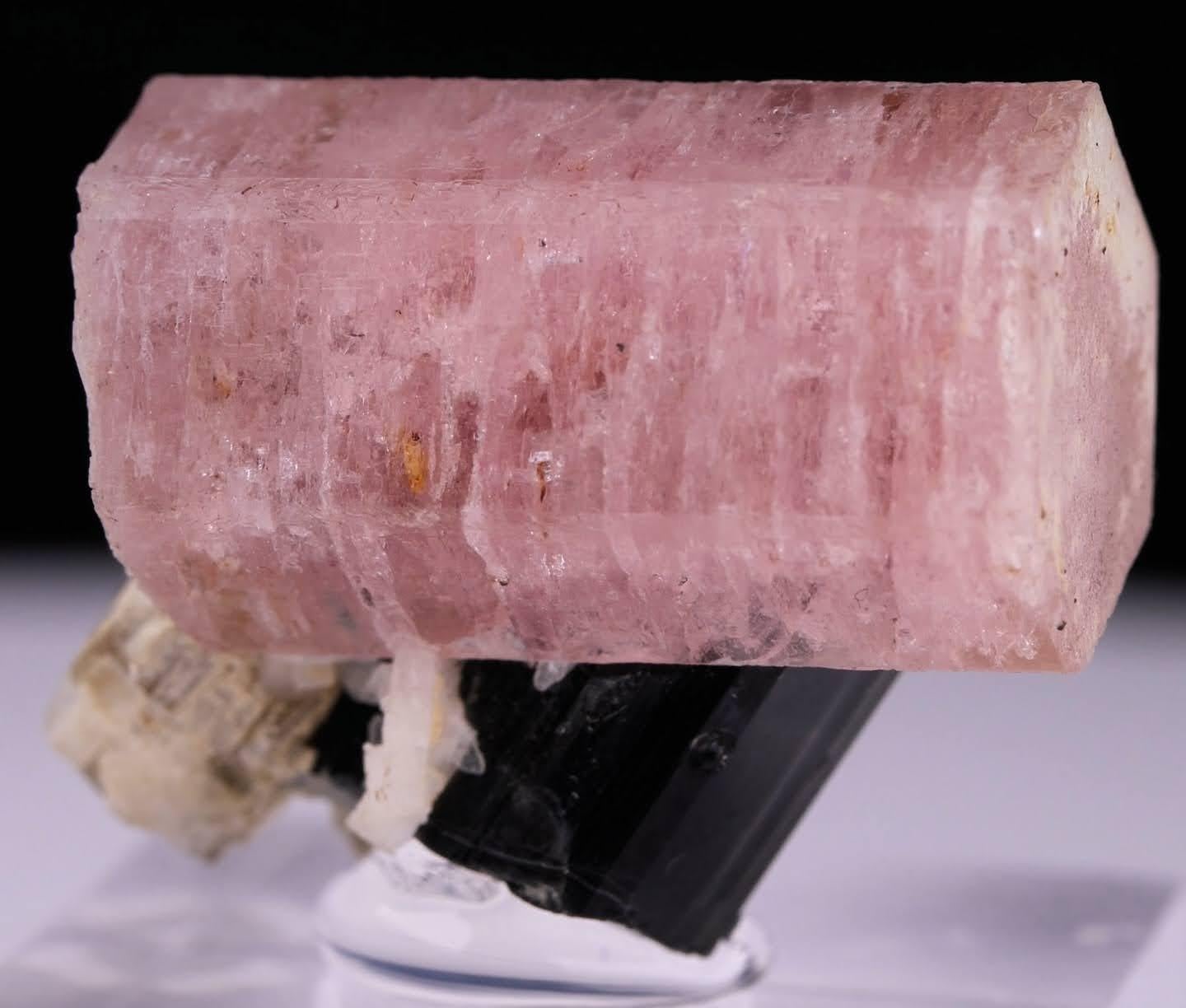 Natural Specimen Of Apatite On Schorl Crystal From Pakistan In condizioni buone in vendita a Peshawar, PK