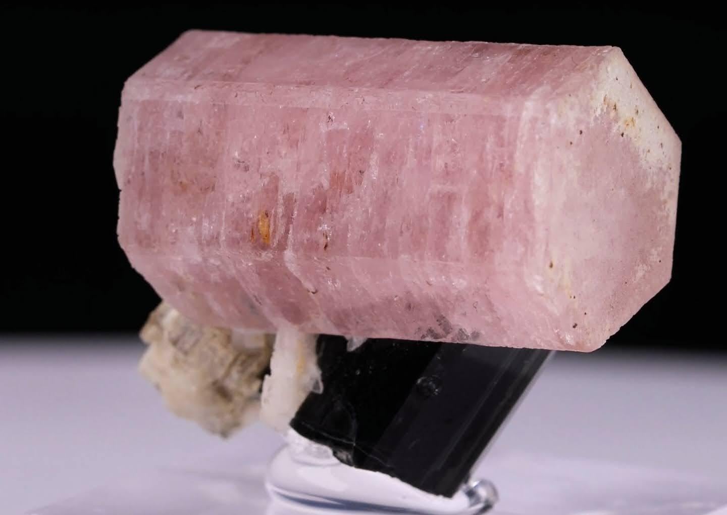 XXI secolo e contemporaneo Natural Specimen Of Apatite On Schorl Crystal From Pakistan in vendita