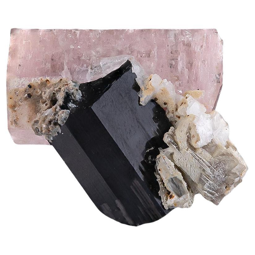 Natural Specimen Of Apatite On Schorl Crystal From Pakistan