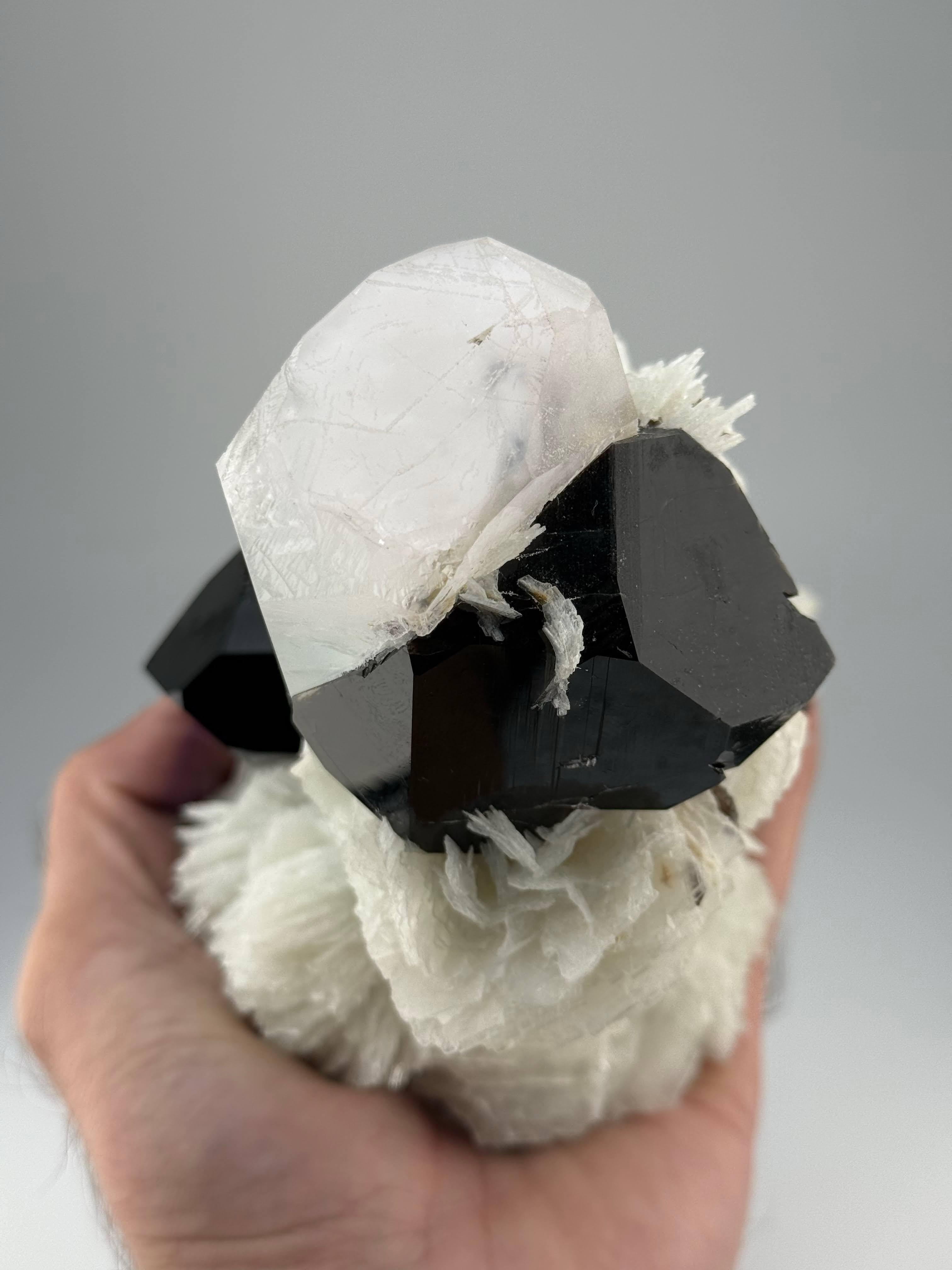 Natürliches Exemplar von Aqua-Morganit mit Rauchquarzkristallen aus Afghanistan im Angebot 5