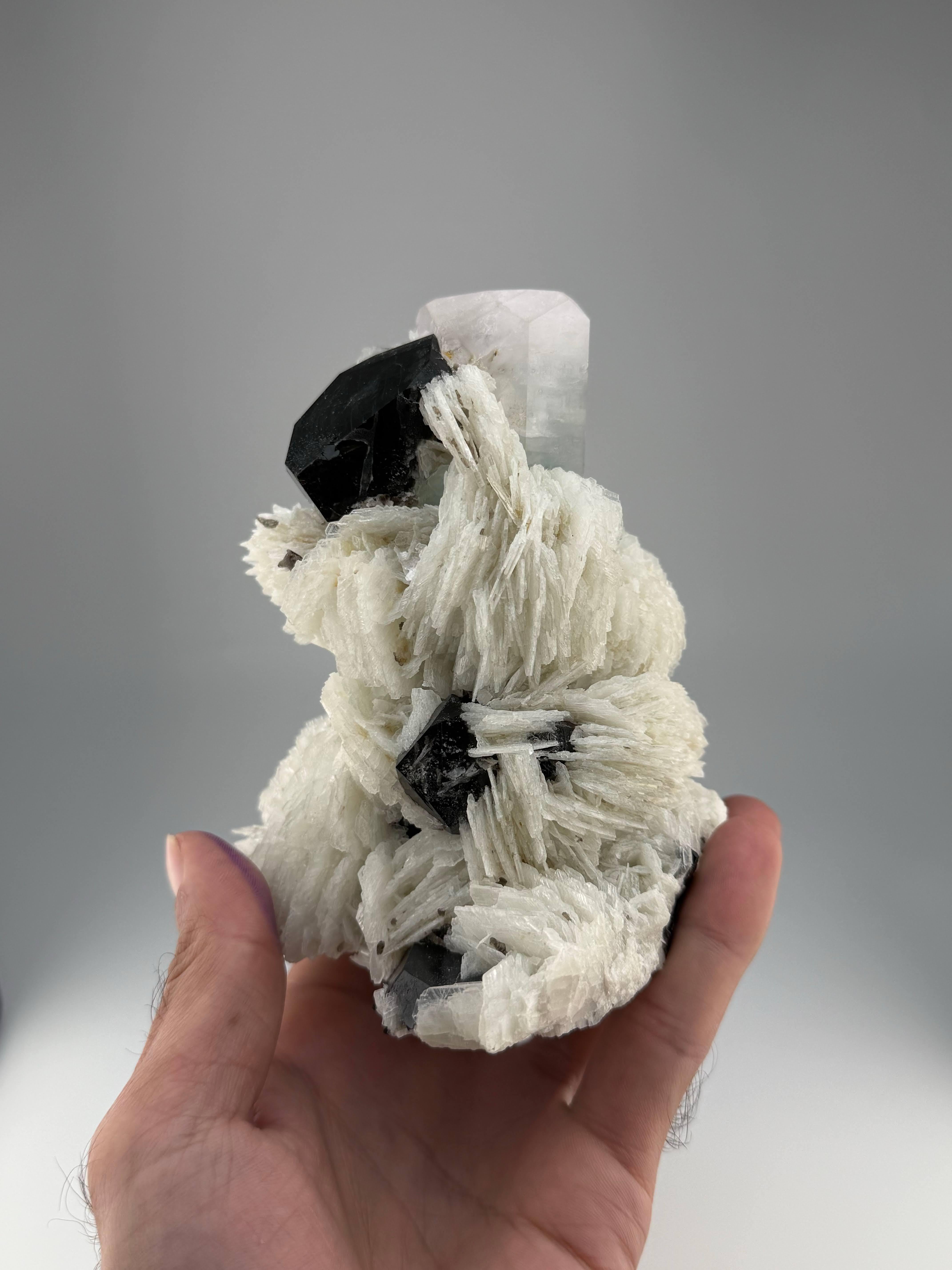 Natürliches Exemplar von Aqua-Morganit mit Rauchquarzkristallen aus Afghanistan im Zustand „Gut“ im Angebot in Peshawar, PK