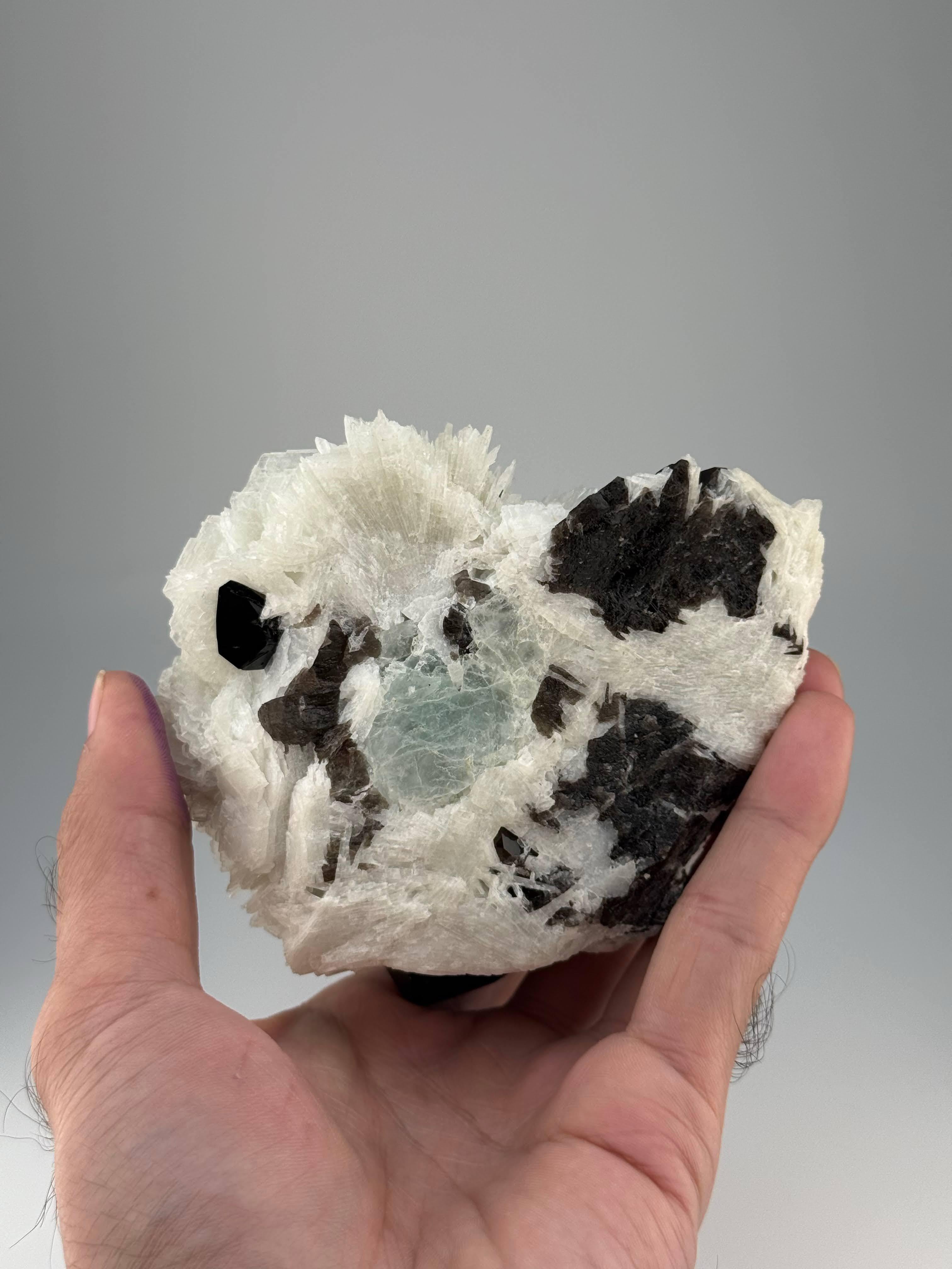 Natürliches Exemplar von Aqua-Morganit mit Rauchquarzkristallen aus Afghanistan (21. Jahrhundert und zeitgenössisch) im Angebot