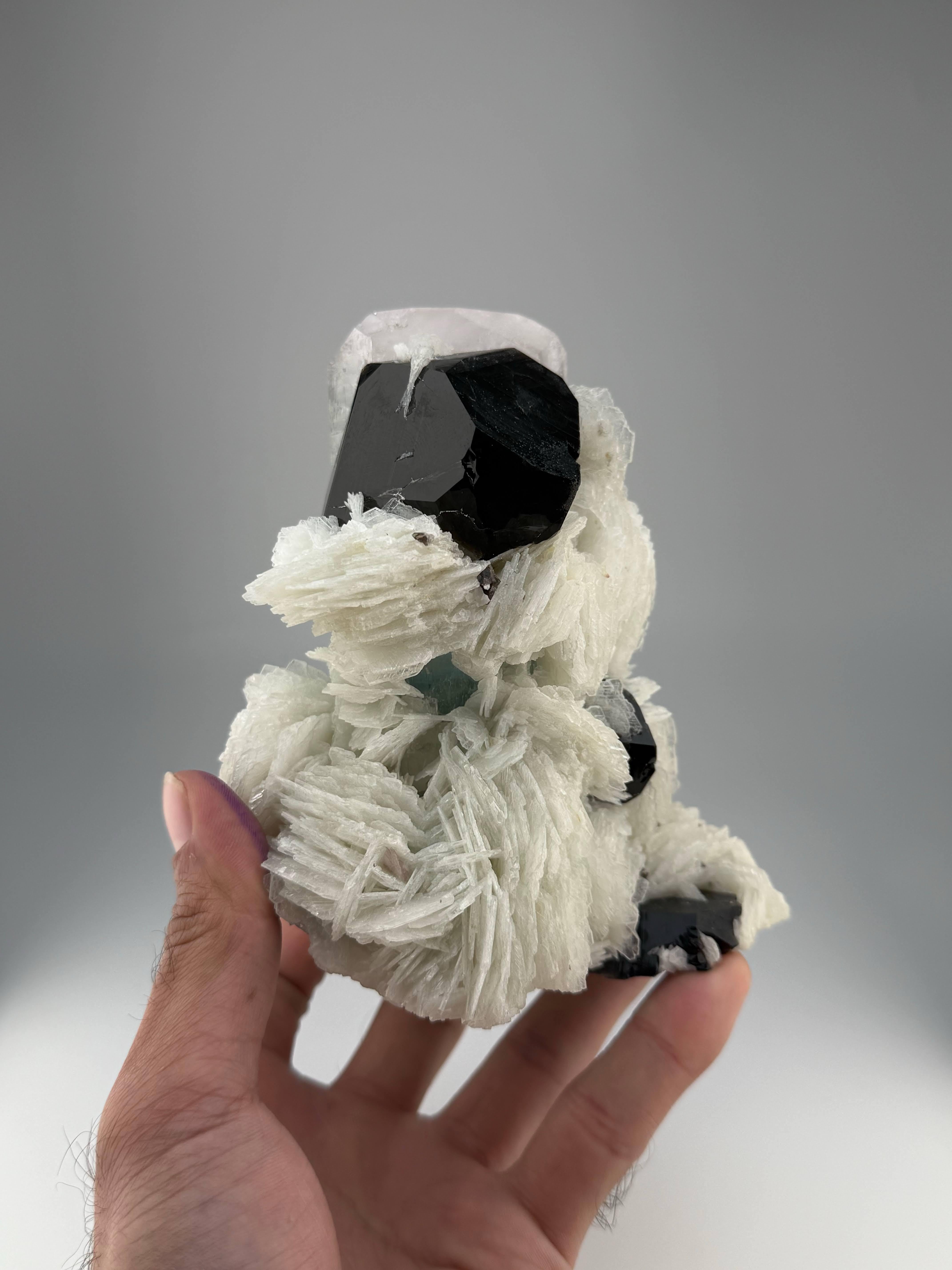 Natürliches Exemplar von Aqua-Morganit mit Rauchquarzkristallen aus Afghanistan (Kristall) im Angebot