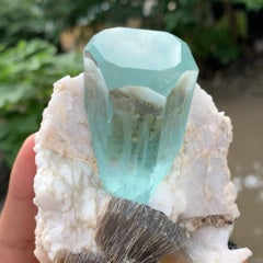 Natürliches Exemplar von Aquamarin Kristall mit Albit und Muskovit aus Pakistan