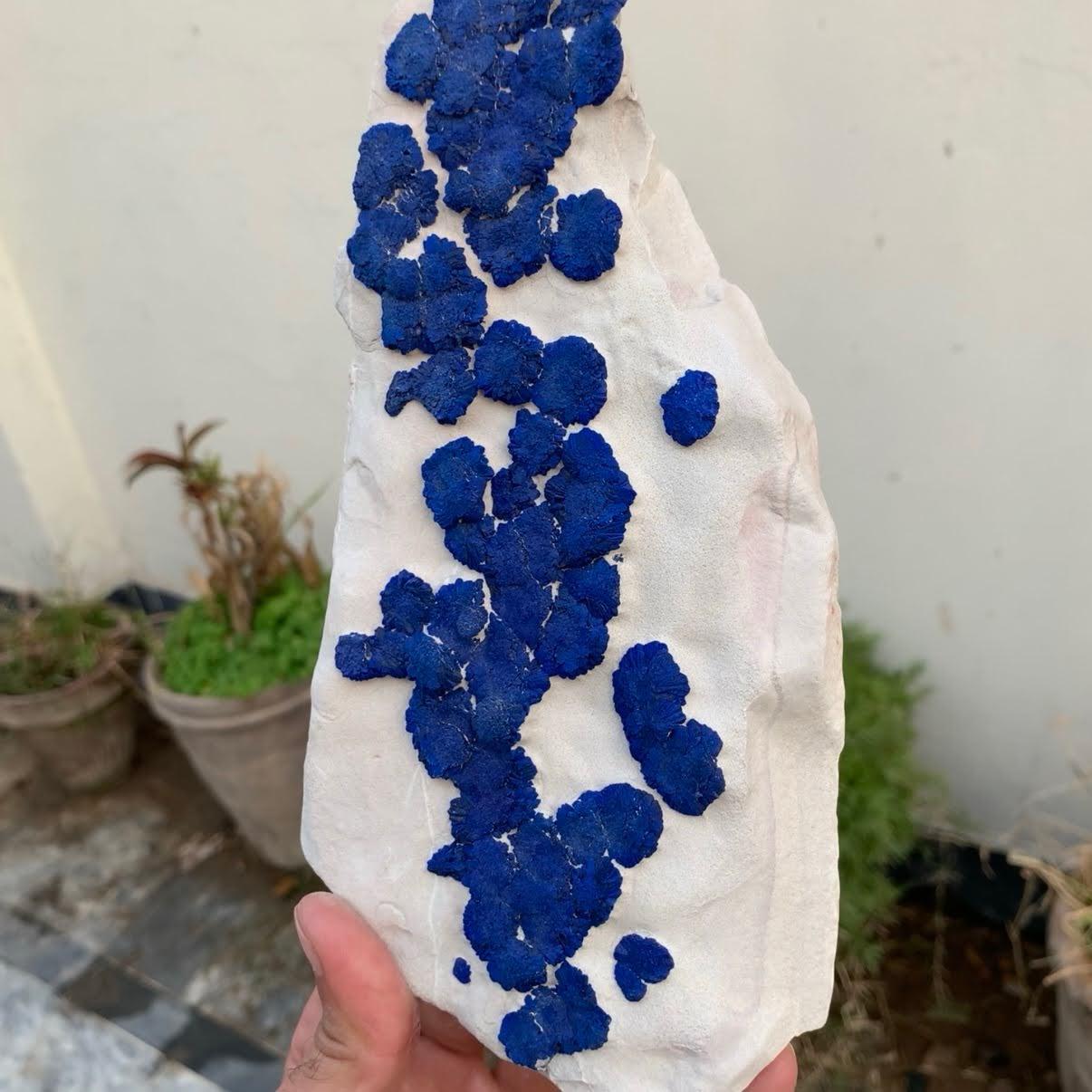 Natural Specimen Of Azurite On Kaolinite From Australia For Sale 3