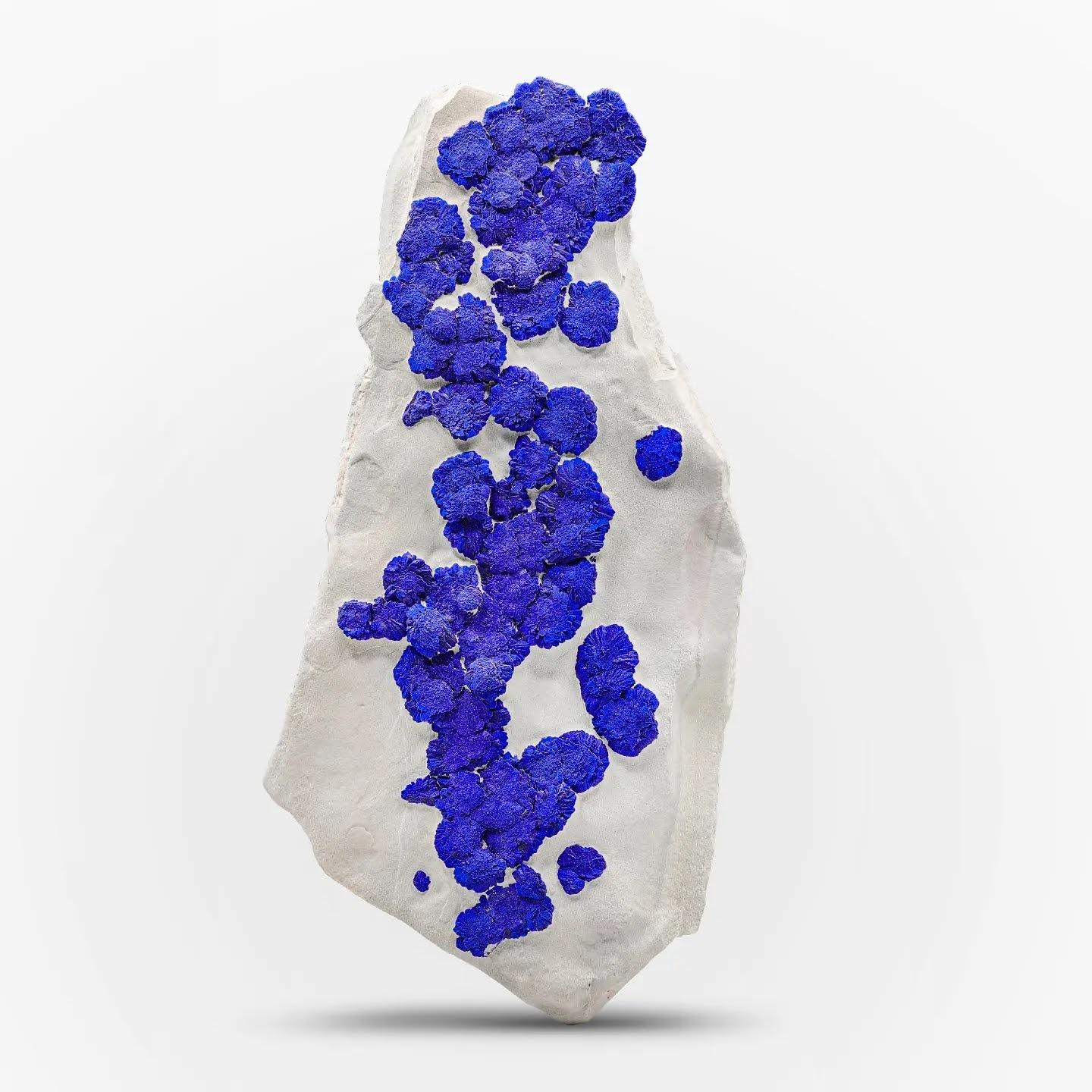 Specimen Type: Azurite on Kaolinite
Weight: 877 grams
Dimension: H: 23 x W: 10 x D: 3.8 cm
Origin: Malbunka Copper Mine, Western Aranda County, Australia
Treatment: None




This natural specimen showcases vibrant blue azurite crystals elegantly