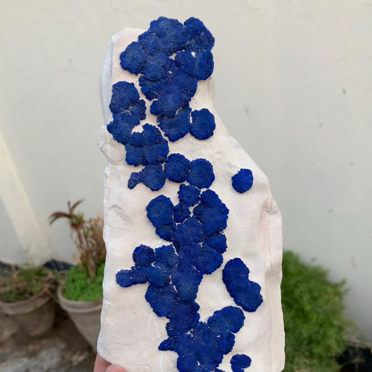 Natural Specimen Of Azurite On Kaolinite From Australia In Good Condition For Sale In Peshawar, PK