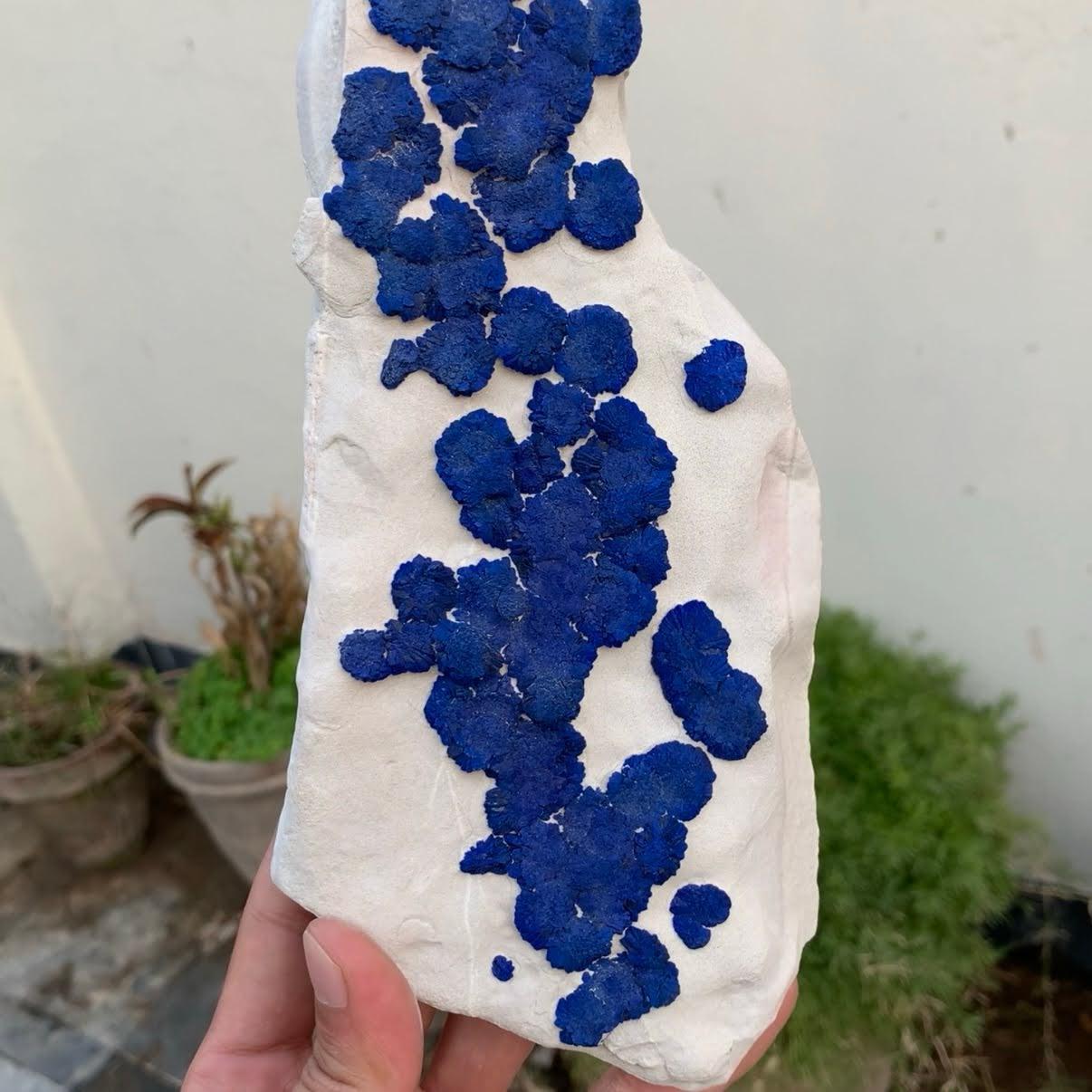 Contemporary Natural Specimen Of Azurite On Kaolinite From Australia For Sale