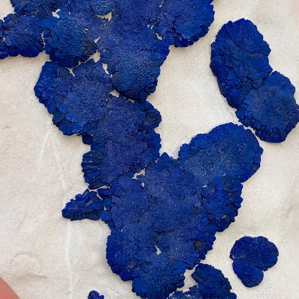 Rock Crystal Natural Specimen Of Azurite On Kaolinite From Australia For Sale