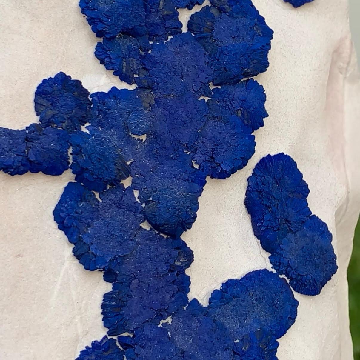 Natural Specimen Of Azurite On Kaolinite From Australia For Sale 1