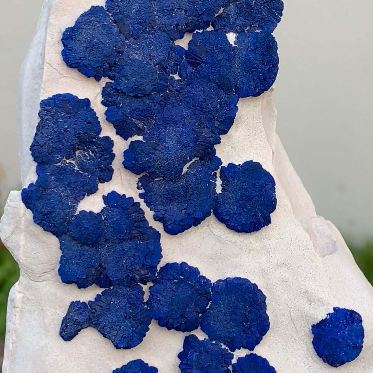 Natural Specimen Of Azurite On Kaolinite From Australia For Sale 2