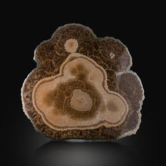 Natural Specimen Of Barite With Marcasite From Poland