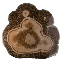 Natural Specimen Of Barite With Marcasite From Poland