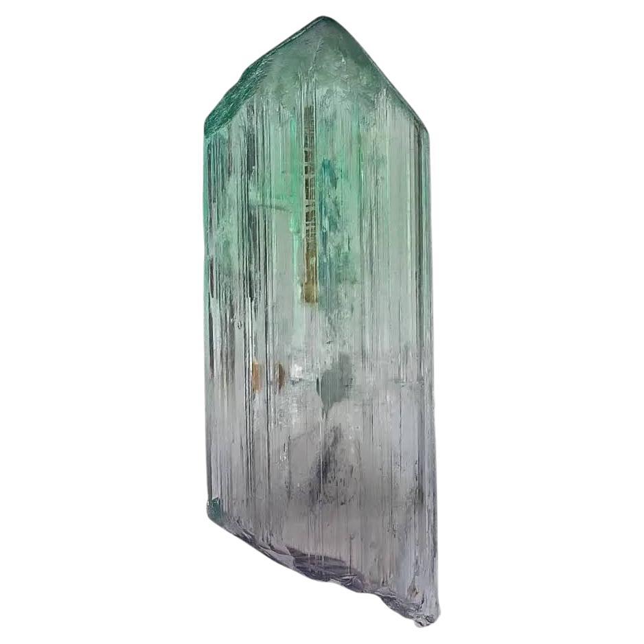 Natural Specimen Of Bi Color Kunzite Single Crystal From Afghanistan