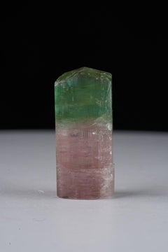 Spécimen naturel de tourmaline bicolore, cristal de 18,5 grammes provenant d'Afghanistan