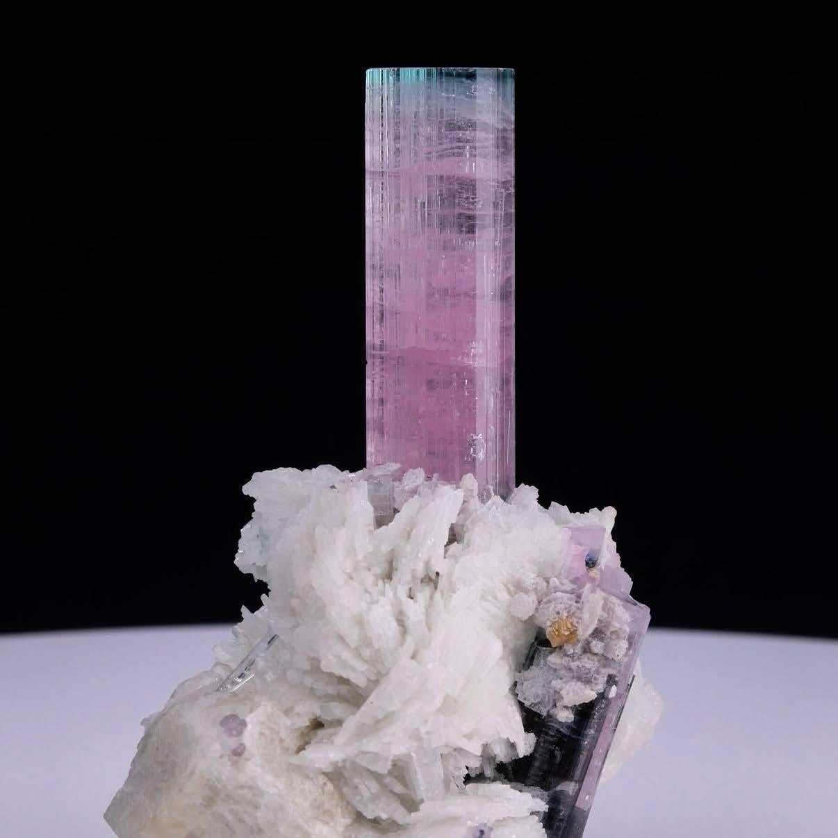 Natürliches Exemplar eines zweifarbigen Turmalinkristalls auf Albit aus Afghanistan im Zustand „Hervorragend“ im Angebot in Peshawar, PK