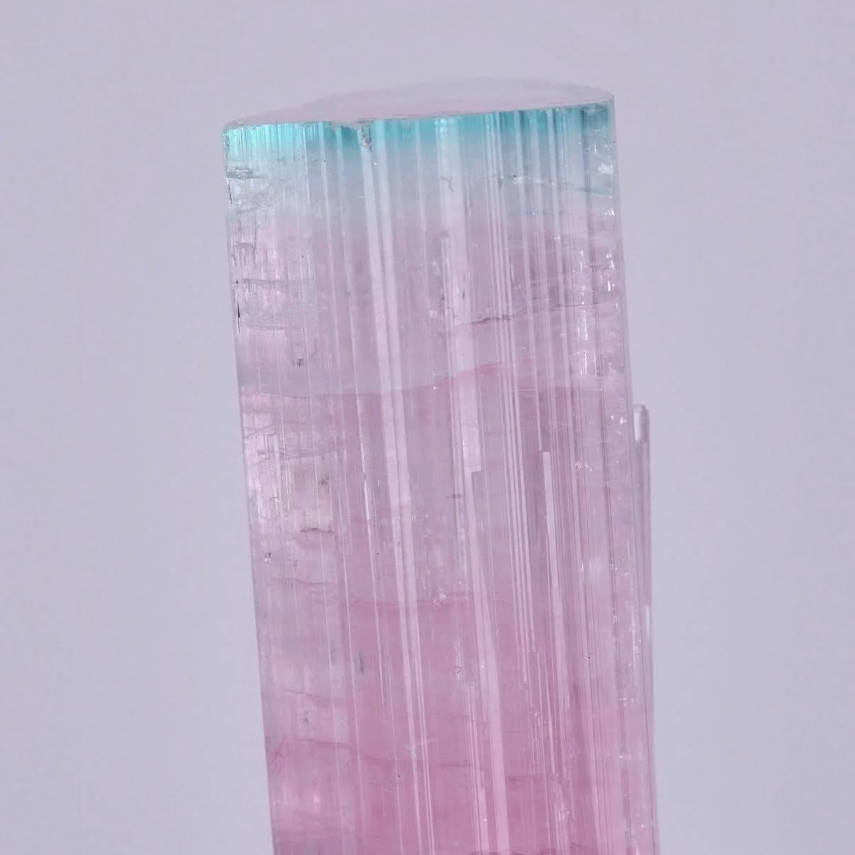 Natürliches Exemplar eines zweifarbigen Turmalinkristalls auf Albit aus Afghanistan (21. Jahrhundert und zeitgenössisch) im Angebot