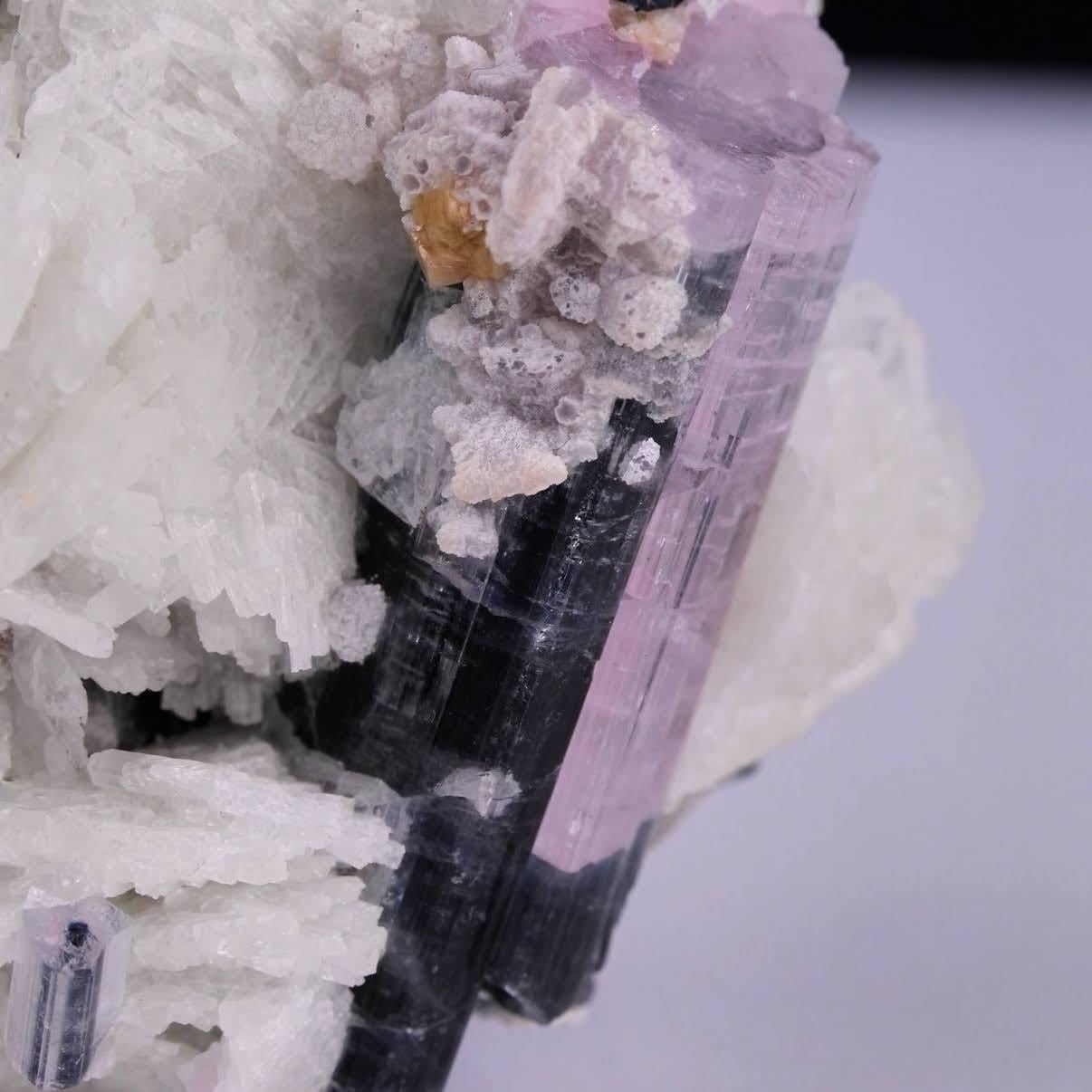 Natürliches Exemplar eines zweifarbigen Turmalinkristalls auf Albit aus Afghanistan (Kristall) im Angebot