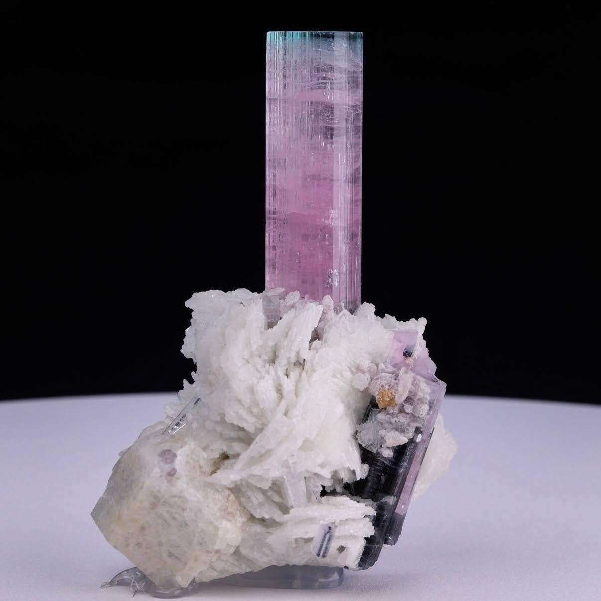 Natürliches Exemplar eines zweifarbigen Turmalinkristalls auf Albit aus Afghanistan im Angebot 1