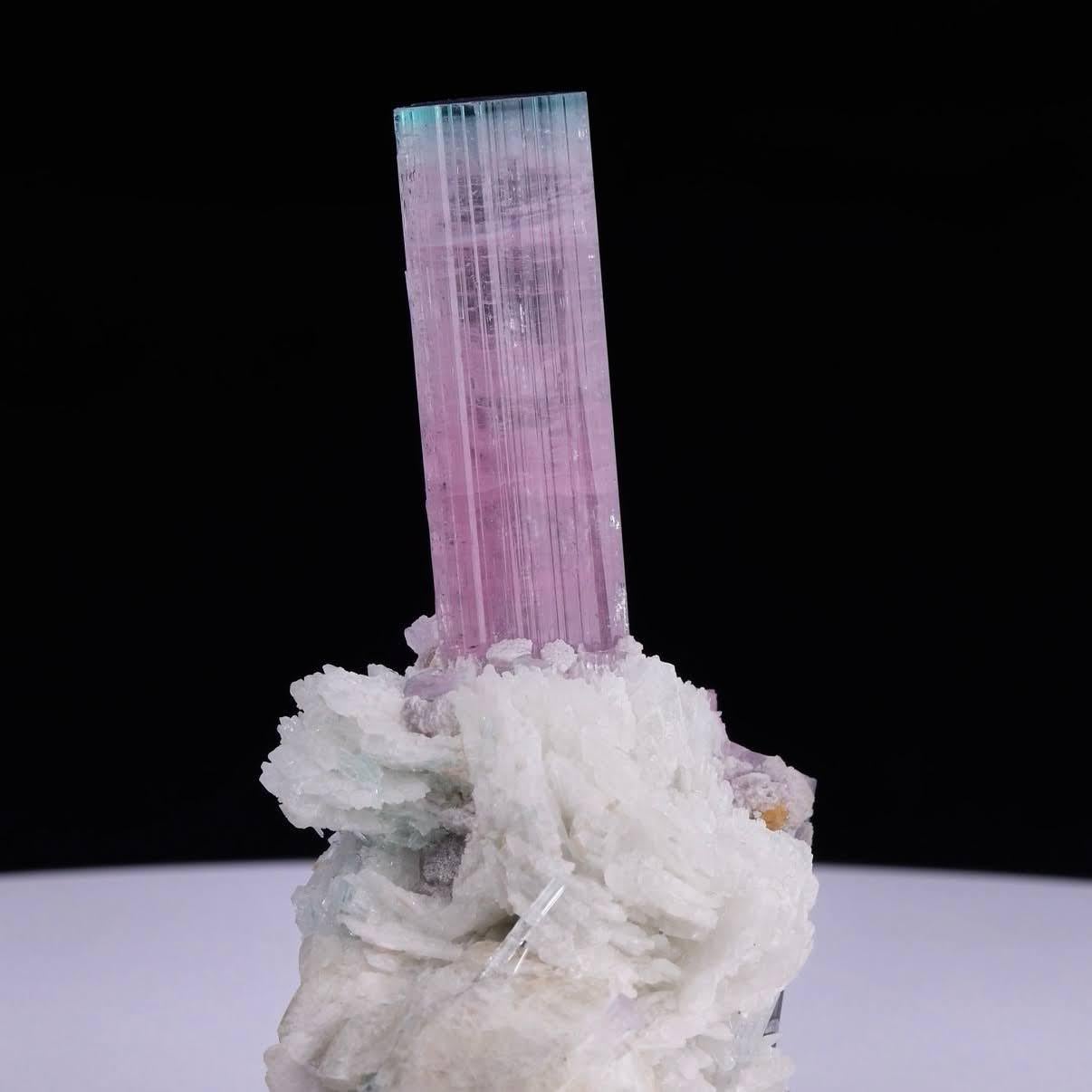 Natürliches Exemplar eines zweifarbigen Turmalinkristalls auf Albit aus Afghanistan im Angebot 2