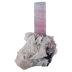 Espécimen Natural De Cristal De Turmalina Bicolor Sobre Albita De Afganistán