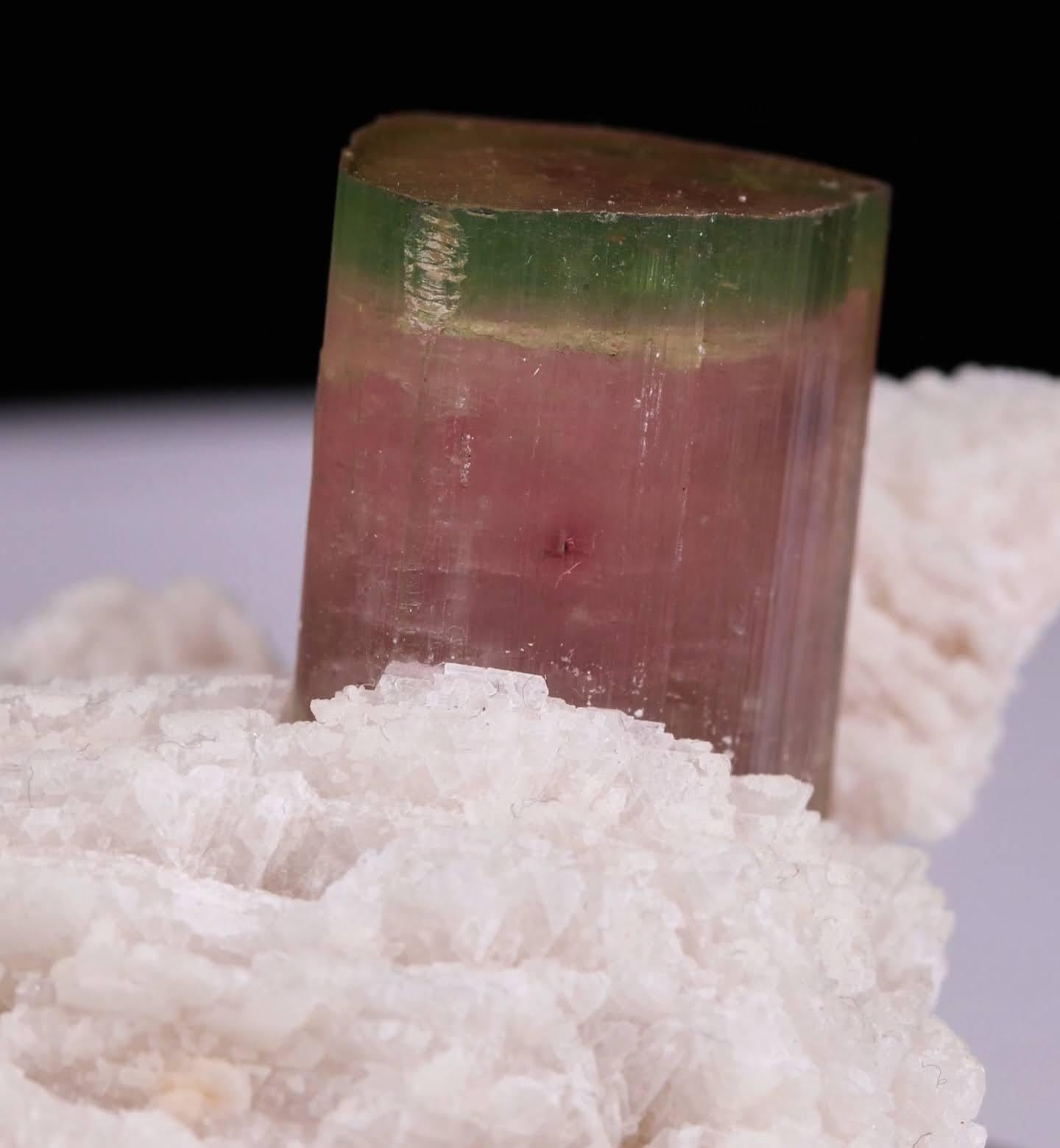 Esemplare naturale di cristallo di tormalina bicolore su Cleavelandite dal Pakistan in vendita 3