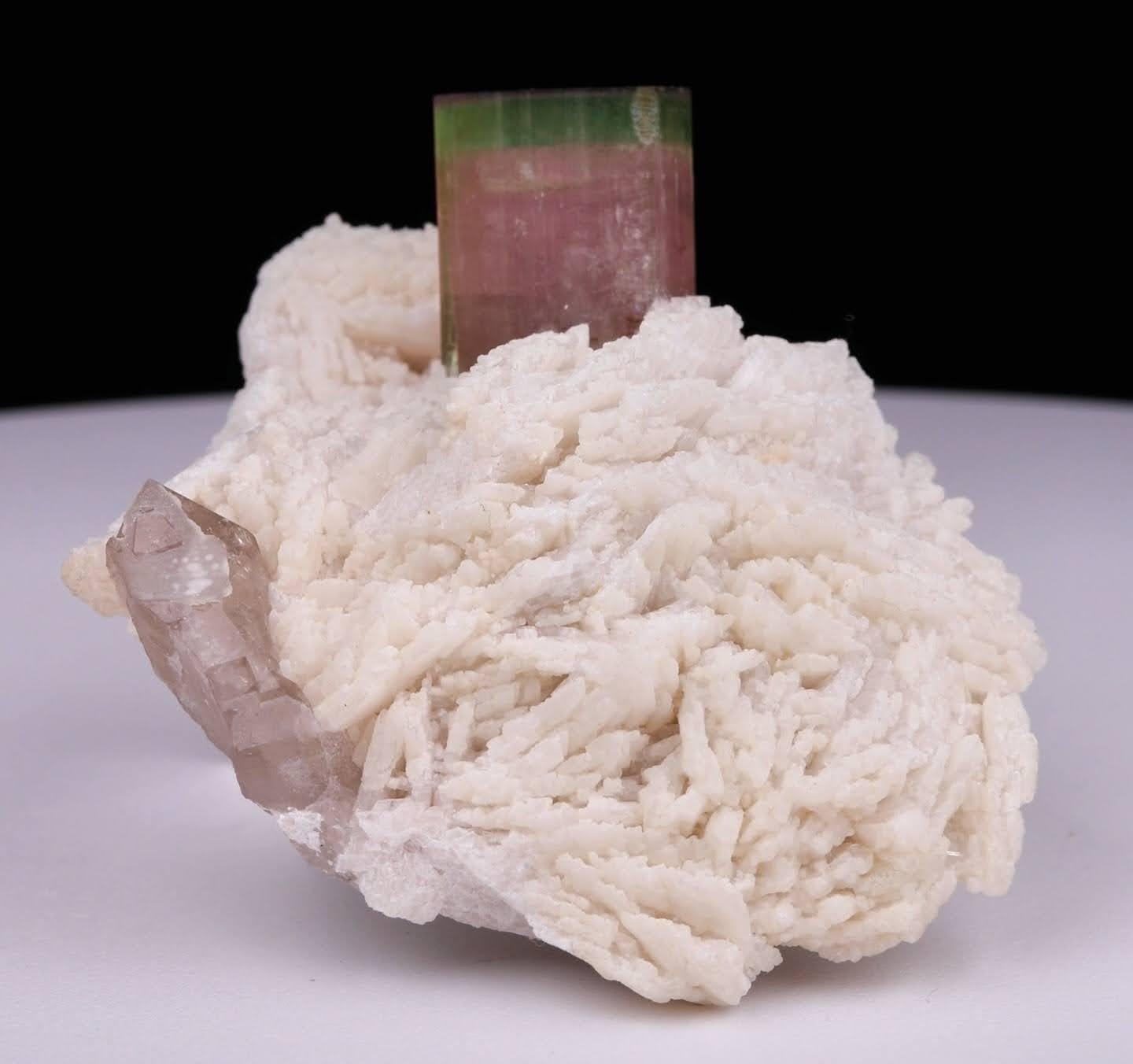 Esemplare naturale di cristallo di tormalina bicolore su Cleavelandite dal Pakistan in vendita 4