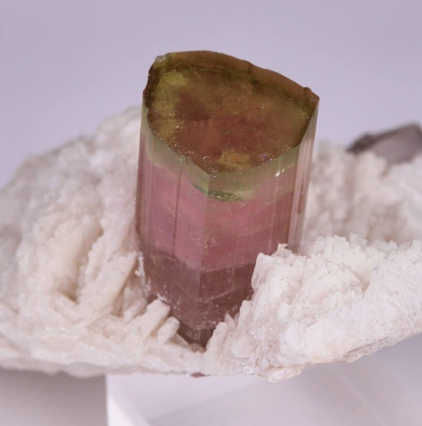 Esemplare naturale di cristallo di tormalina bicolore su Cleavelandite dal Pakistan in vendita 5