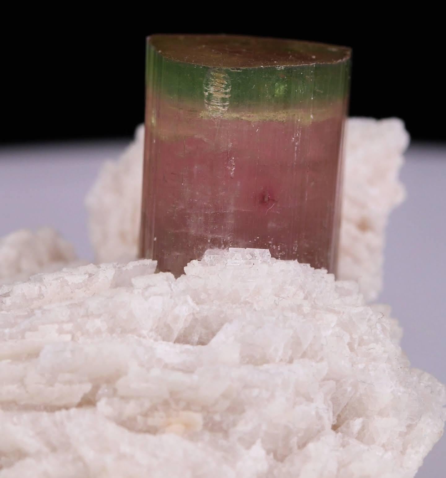 Esemplare naturale di cristallo di tormalina bicolore su Cleavelandite dal Pakistan in vendita 6