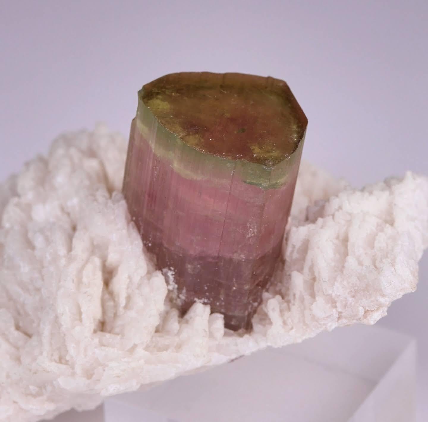 Esemplare naturale di cristallo di tormalina bicolore su Cleavelandite dal Pakistan in vendita 7