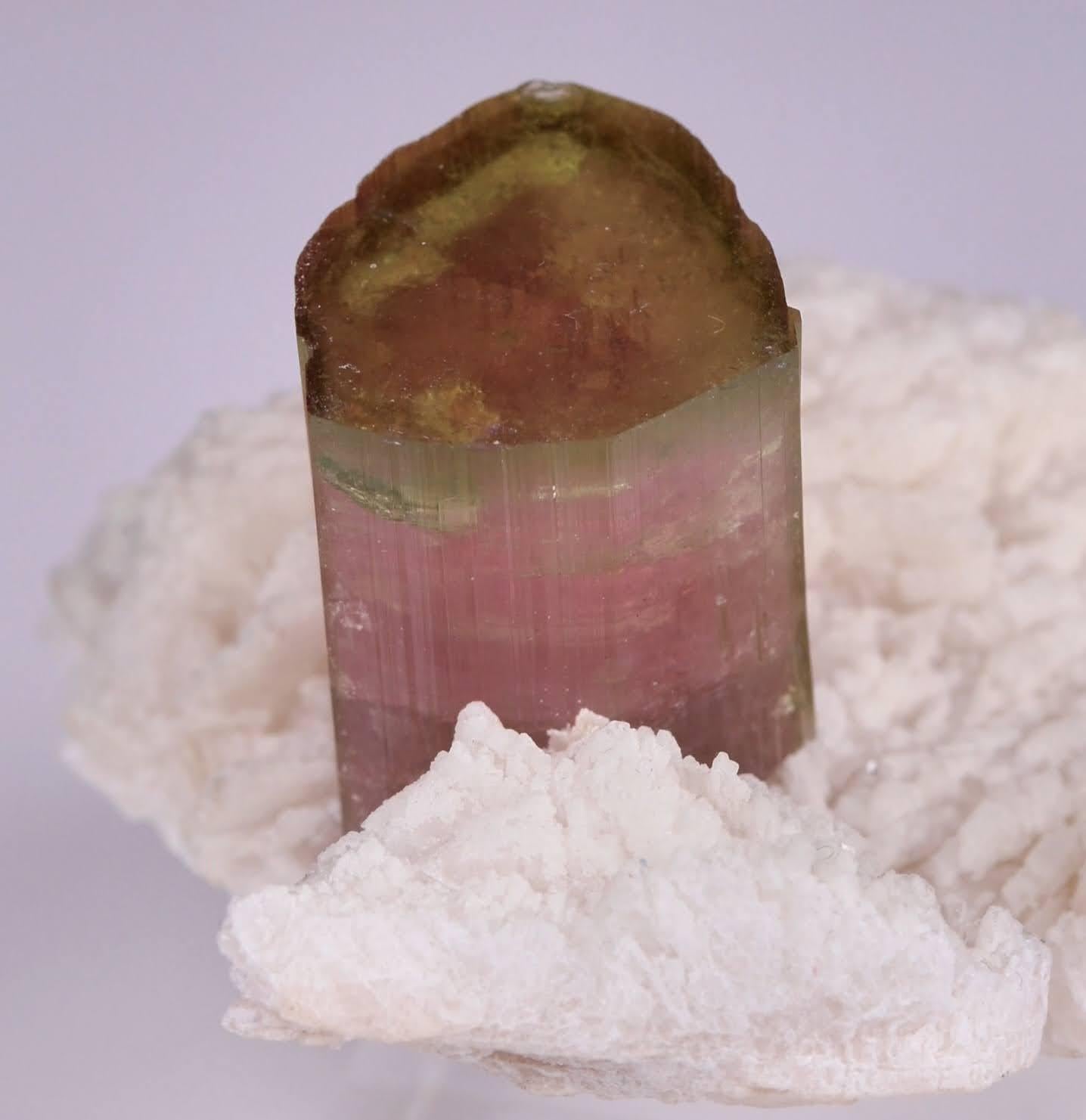 Esemplare naturale di cristallo di tormalina bicolore su Cleavelandite dal Pakistan in vendita 8