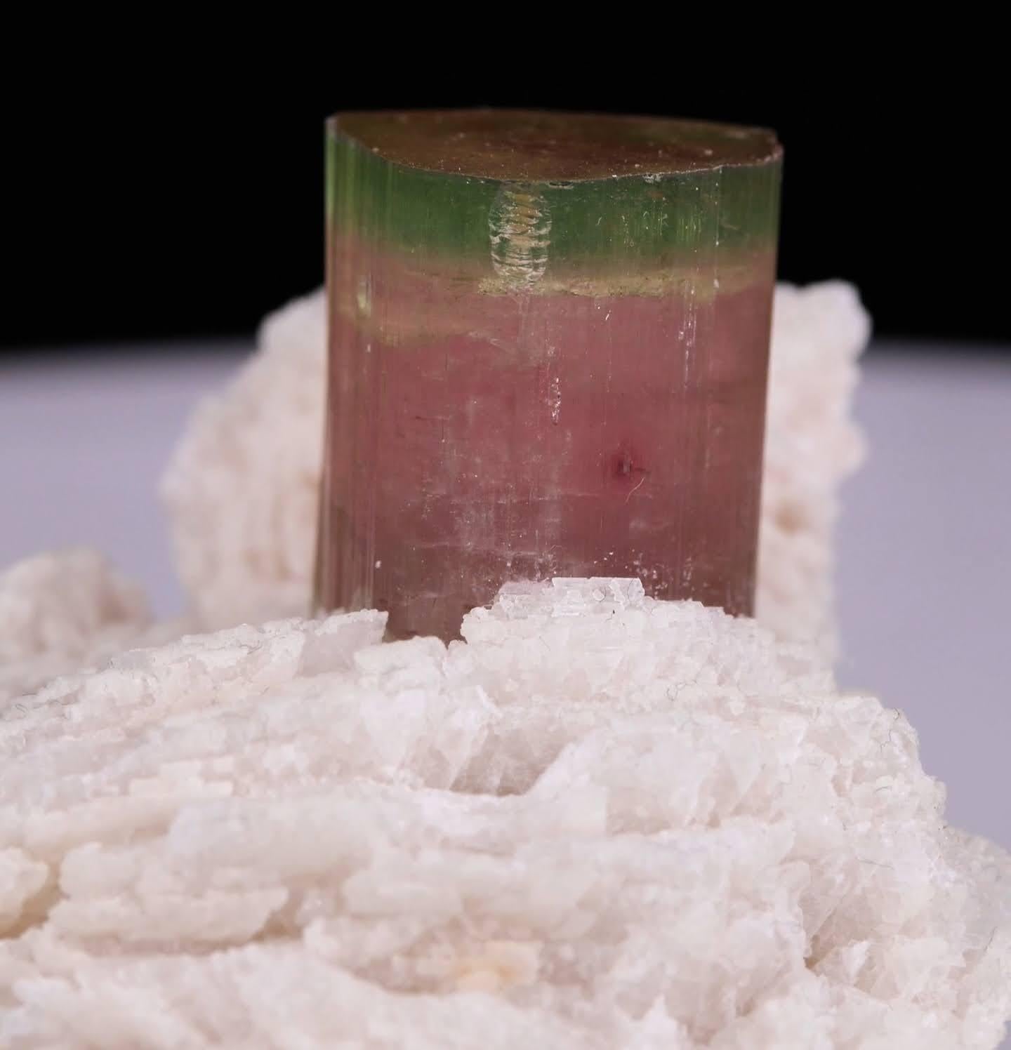 Esemplare naturale di cristallo di tormalina bicolore su Cleavelandite dal Pakistan in vendita 9