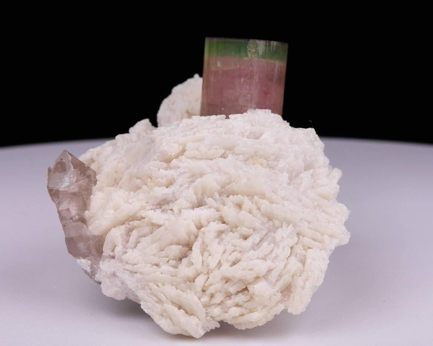 Afghano Esemplare naturale di cristallo di tormalina bicolore su Cleavelandite dal Pakistan in vendita