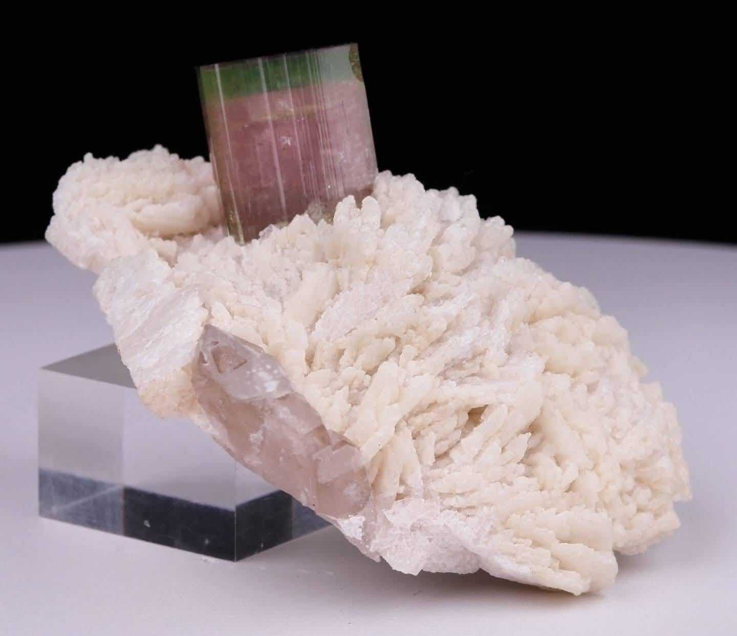 Esemplare naturale di cristallo di tormalina bicolore su Cleavelandite dal Pakistan In condizioni ottime in vendita a Peshawar, PK