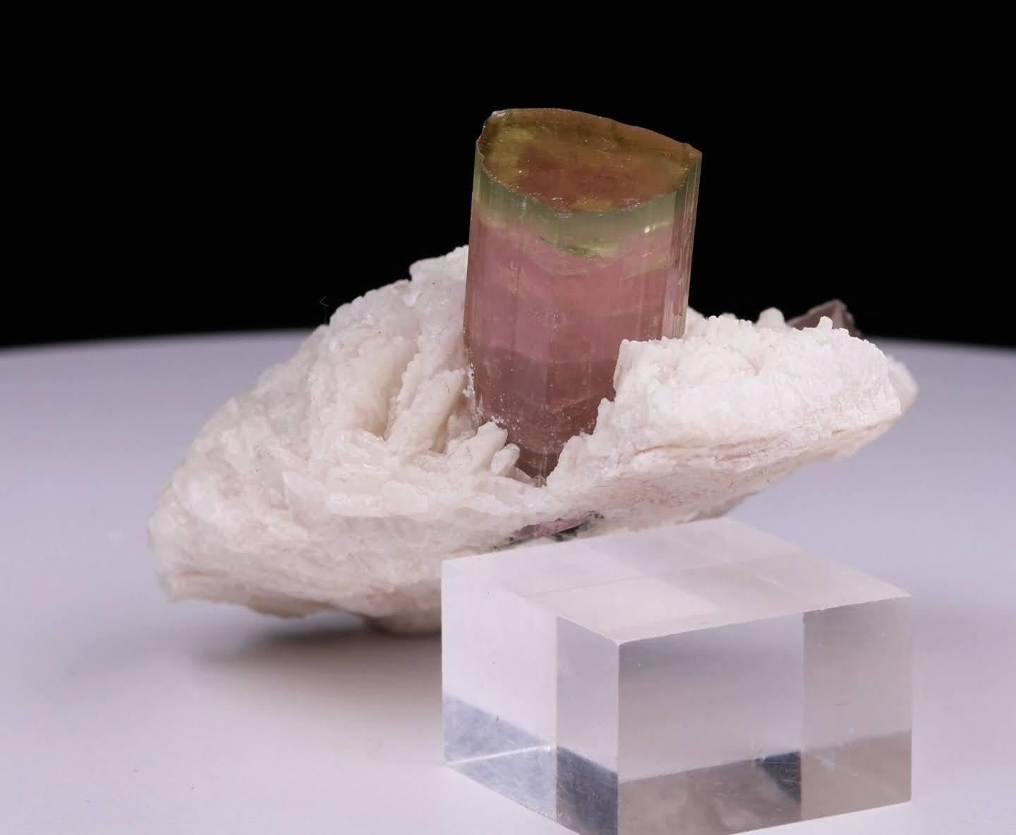 Cristallo Esemplare naturale di cristallo di tormalina bicolore su Cleavelandite dal Pakistan in vendita