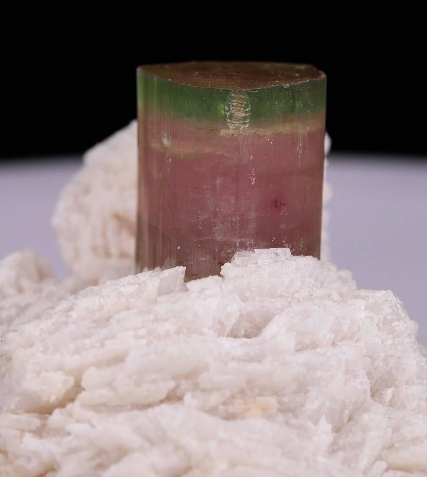 Esemplare naturale di cristallo di tormalina bicolore su Cleavelandite dal Pakistan in vendita 1