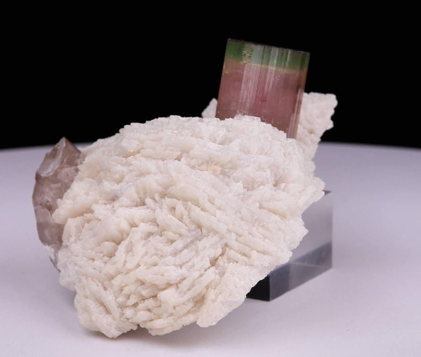 Esemplare naturale di cristallo di tormalina bicolore su Cleavelandite dal Pakistan in vendita 2