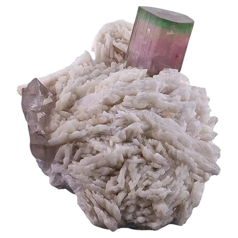 Esemplare naturale di cristallo di tormalina bicolore su Cleavelandite dal Pakistan in vendita