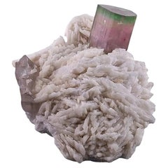 Natural Specimen Of Bi Color Tourmaline Crystal On Cleavelandite From Pakistan