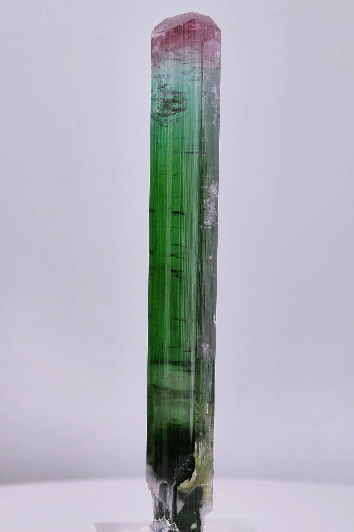 Esemplare naturale di scettro in cristallo di tormalina bicolore proveniente dall'Afghanistan in vendita 3