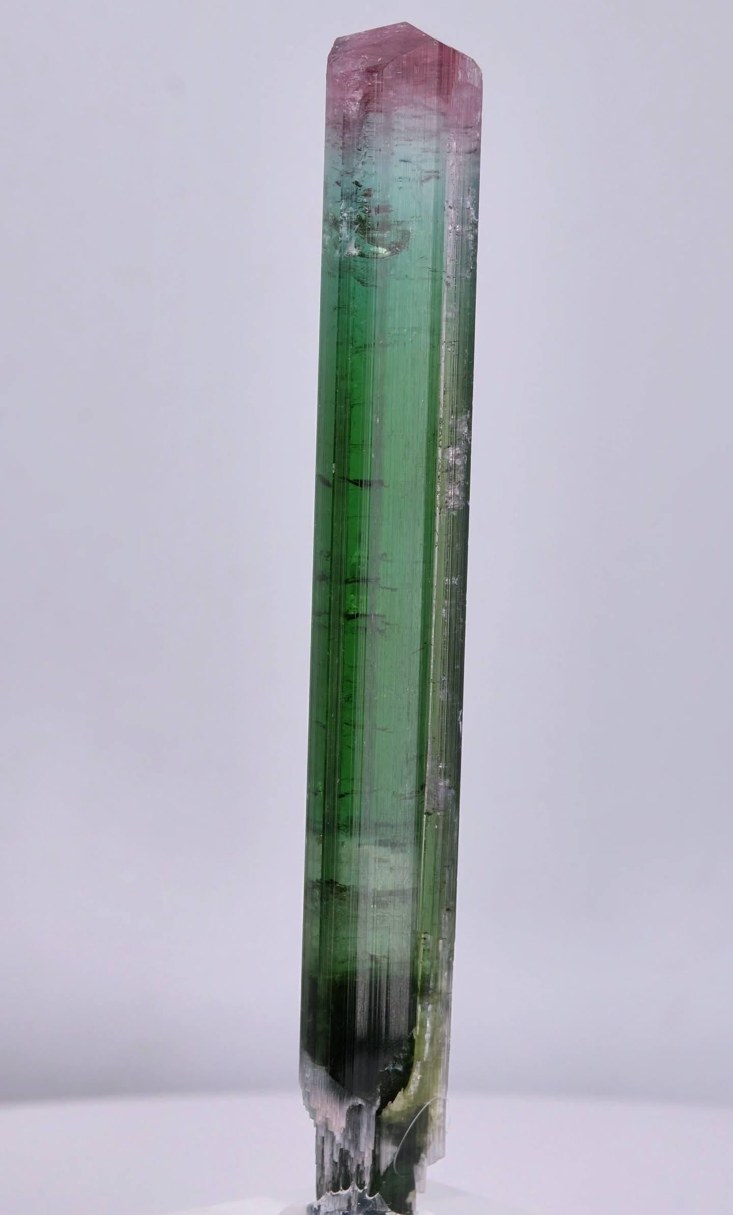 Esemplare naturale di scettro in cristallo di tormalina bicolore proveniente dall'Afghanistan in vendita 5